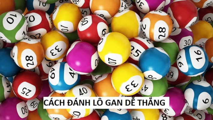 Hướng dẫn cách bắt cầu lô lì, gan cực chuẩn xác cho tân binh